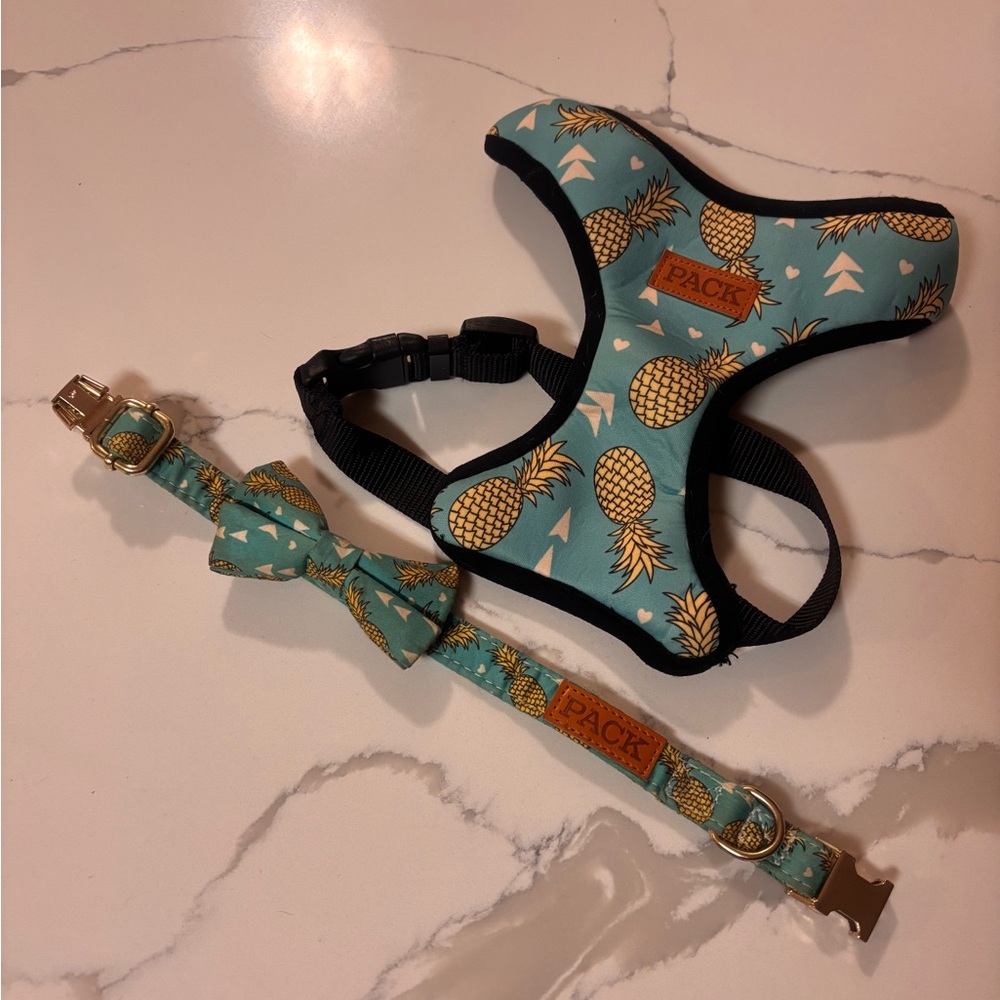 Pineapple Print Pack leash collar and harness combo - Picture 2 of 10